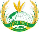 LBN Rice